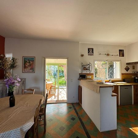 La Boissetane, Maison Provencale Avec Piscine Et Jardin, Au Pied Du Luberon Saint-Martin-de-Castillon Exterior foto